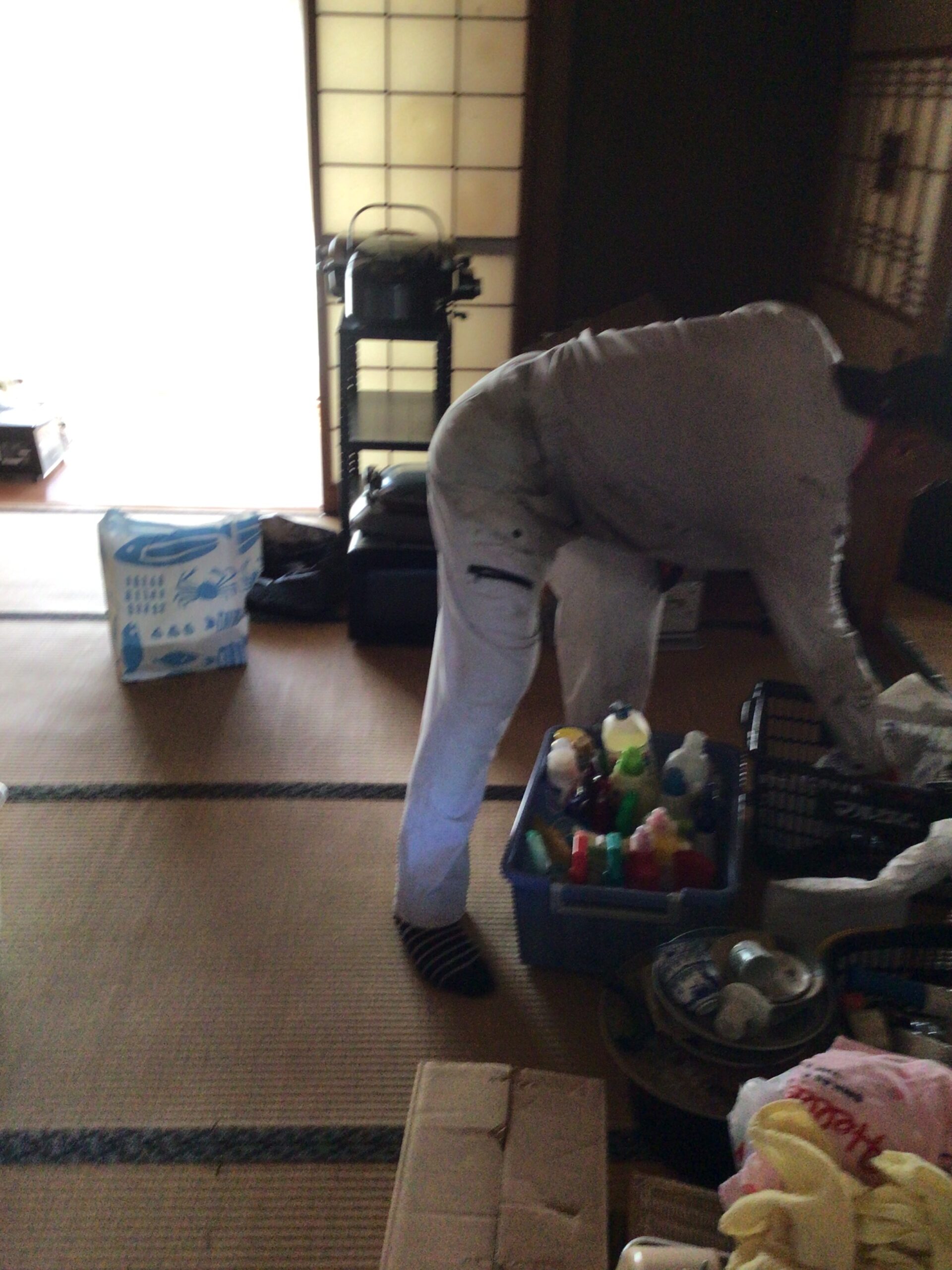 木造住宅一軒家、屋根裏あり・車庫付きの残置処分整理作業を行いました。