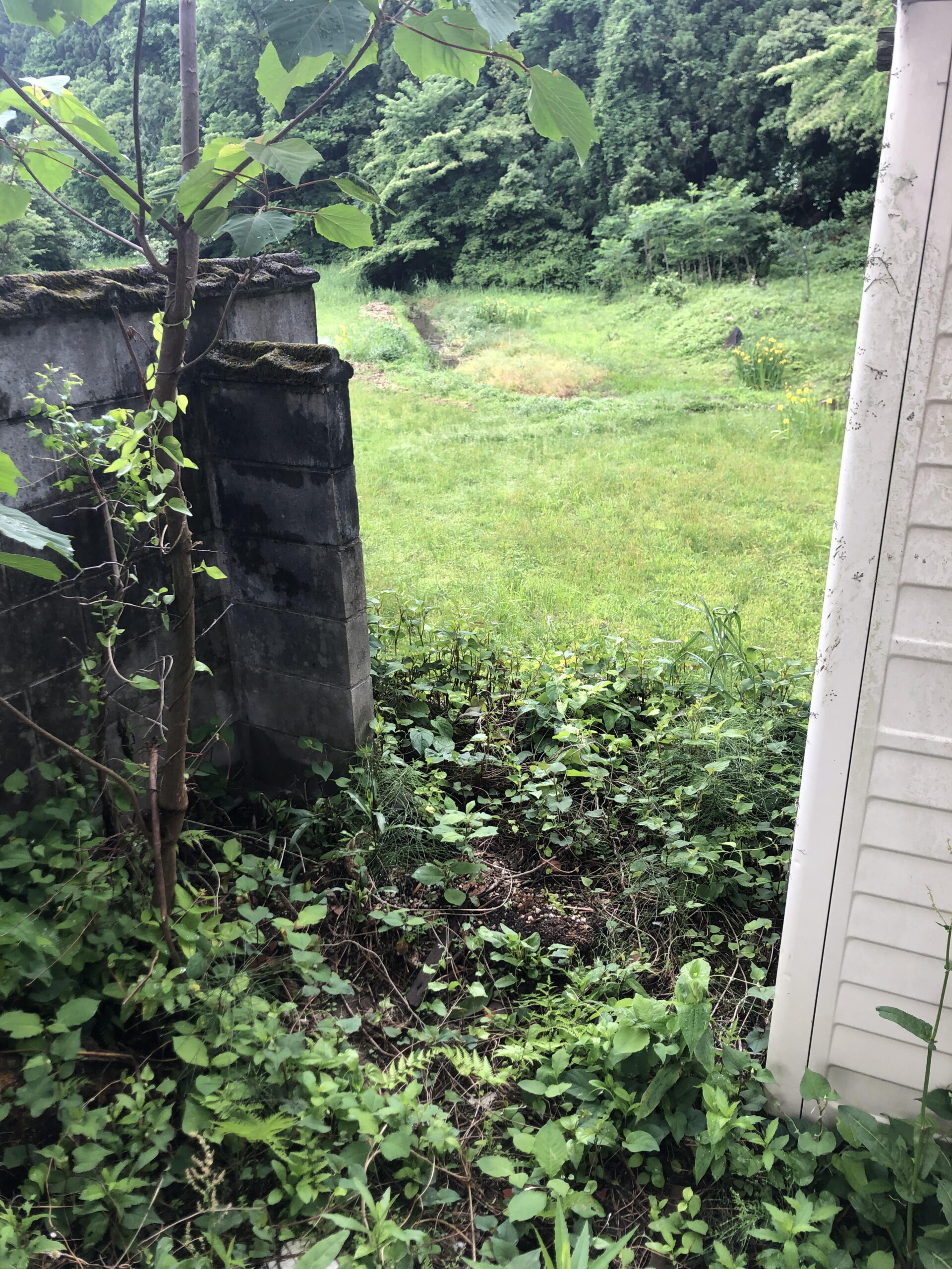 木造住宅　倉庫内の残置物処分整理作業を行いました。